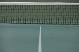 乒乓球赛场焦点！韩国队对阵美国队，强强对话引爆全球球迷关注